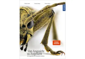 Die Schönheit der Insekten