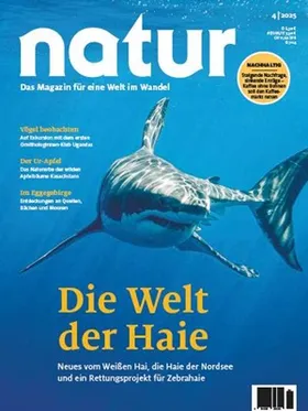 Die Welt der Haie