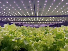 Der Landwirtschaft geht ein Licht auf