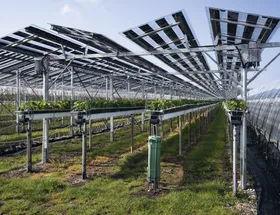 Ein neues Feld der Photovoltaik