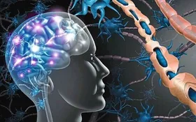 Präzise Medizin fürs Gehirn