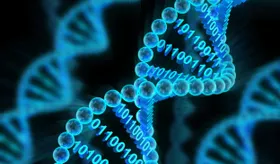KI-Modell AlphaGenome sagt Funktion großer DNA-Abschnitte voraus