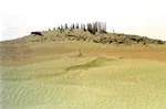 Größter Mumienfriedhof im Nordwesten Chinas entdeckt