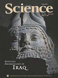 Plünderer rauben die Schätze Mesopotamiens