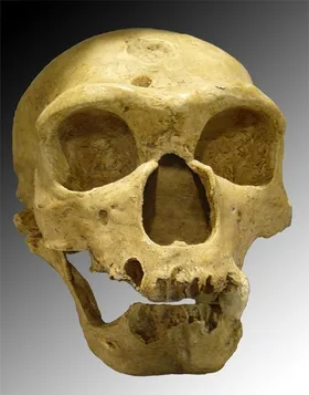 Erfolgsgeheimnis: Passende Klamotten