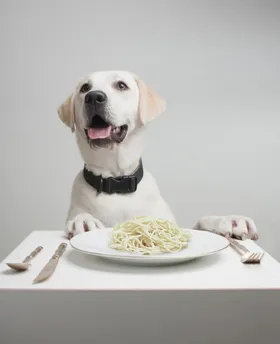 Was den Hund zum Hund machte