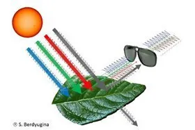Biosignaturen für die Suche nach Leben im All