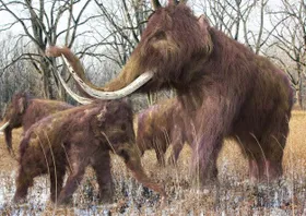 Mammuts: Frühes Abstillen im Zeichen der Jagd