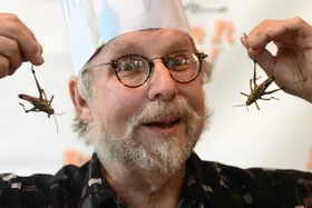 Insekten auf den Speiseplan!...?
