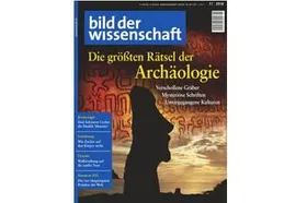 bild der wissenschaft 11-16