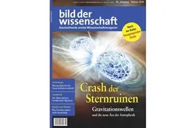 bild der wissenschaft 02-18