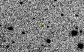 Interstellarer Einwanderer identifiziert