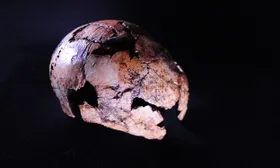 Der älteste Homo erectus