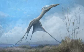 Fossile Flieger: Potenzial für die Technik