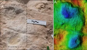 Mensch erreichte Arabien schon vor 120.000 Jahren