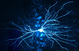 Gedächtnisproblemen bei Epilepsie auf der Spur