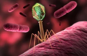 Ausweg aus der Antibiotika-Krise