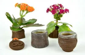 3D-Druck mit Kaffeesatz