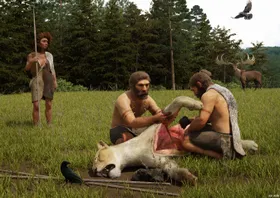 Höhlenlöwe: Beute und Fell-Lieferant der Neandertaler