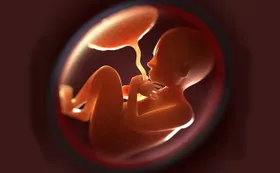 Muttersprache prägt Babys bereits vor der Geburt