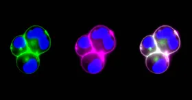 Nanopartikel-Produktion auf die einfachere Art