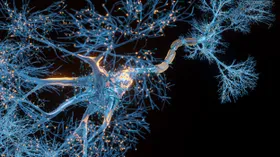 Neue Ursache für Alzheimer entdeckt