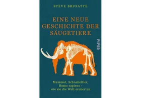 Unsere Ahnengalerie