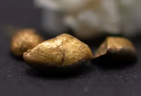 Gold raffiniert aus Elektroschrott geholt