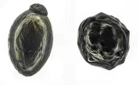 Mini-Meteorite vom Hausdach analysiert