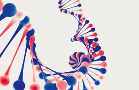 Erbsubstanz DNA
