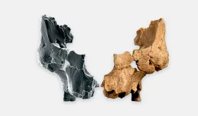 Ältestes Gesichtsfossil Europas entdeckt