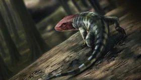 Ur-Reptilien schon vor 355 Millionen Jahren