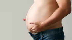 Bauchfett interagiert mit dem Immunsystem