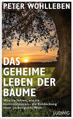 Eine baumstarke Gemeinschaft