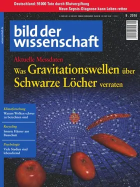 Was Gravitationswellen über Schwarze Löcher verraten