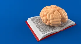 Wie unser Gehirn Schrift verarbeitet