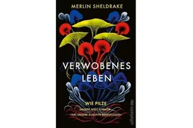 Unverzichtbar, heilsam, tödlich