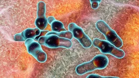 Tetanustoxin wirkt gegen Muskelschwund