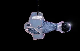 Künstlicher Fisch aus menschlichen Herzzellen