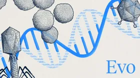 KI-Sprachmodell analysiert und entwirft DNA-Sequenzen