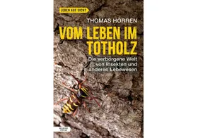 Blick unter die Borke