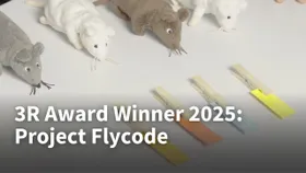 Flycodes Methode erlaubt eine wesentliche Reduzierung von Versuchsmäusen