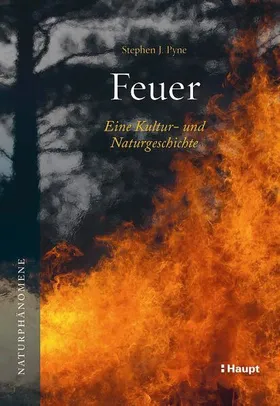 Ein Feuerwerk