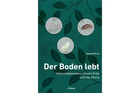 Die Bedeutung des Bodens