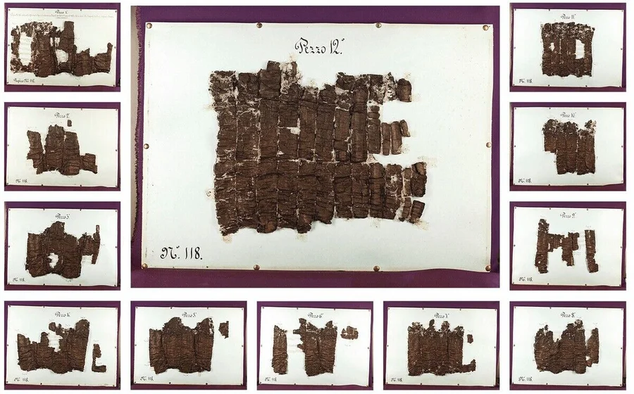 PHerc118-AllPlates-1998-web.jpg