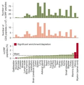 Peptideine im Vergleich