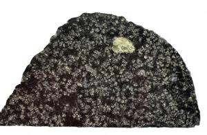 NWA 12774