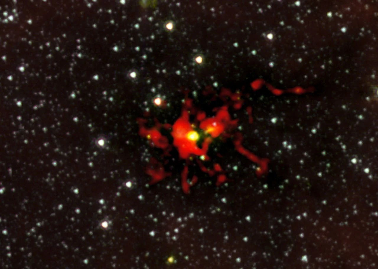 Stellarer Mega-Embryo