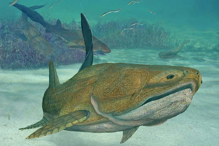 Grimmiger Fisch, große Veränderung