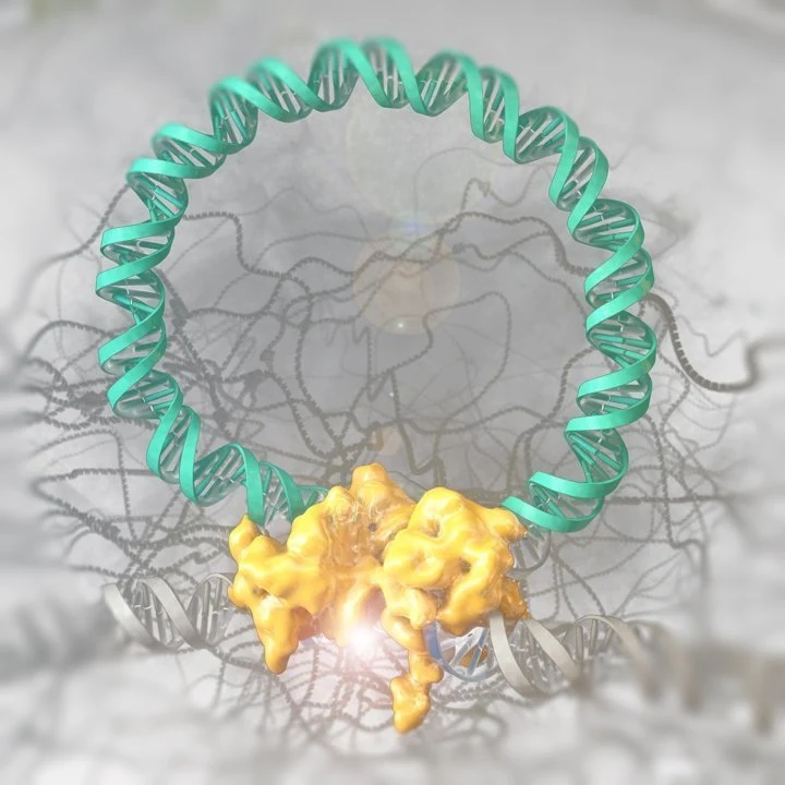 Hoffnung auf Heilung von HIV wächst